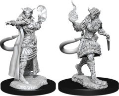 Tiefling Sorcerer Female (Nolzur's - W15)